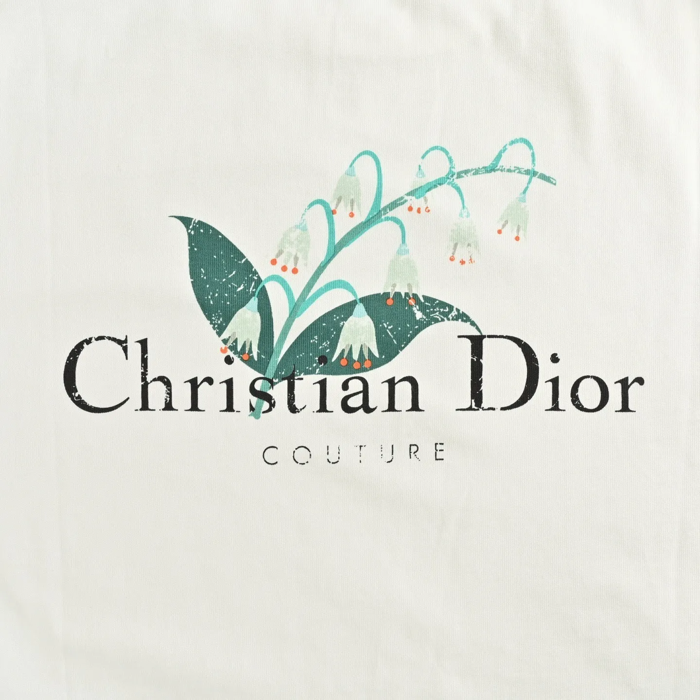 Dior/ 25ss