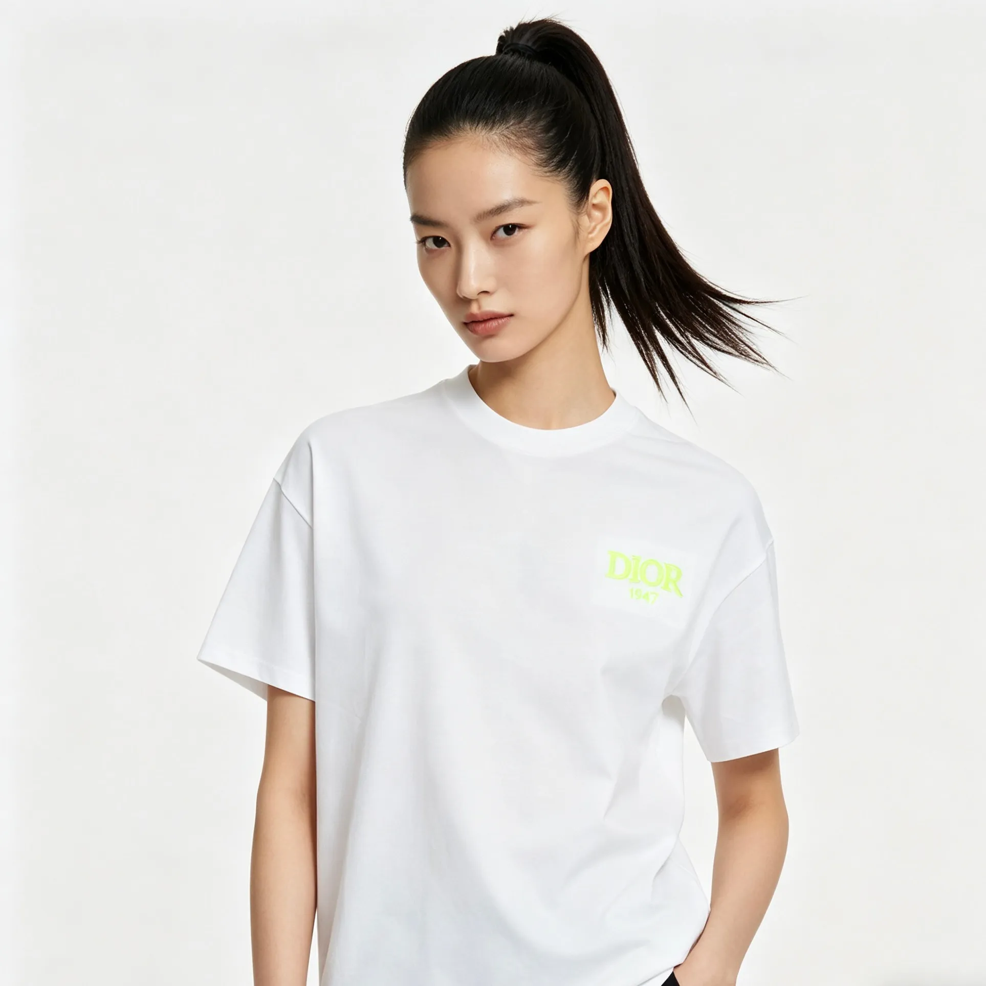 Dior/ 26ss logo