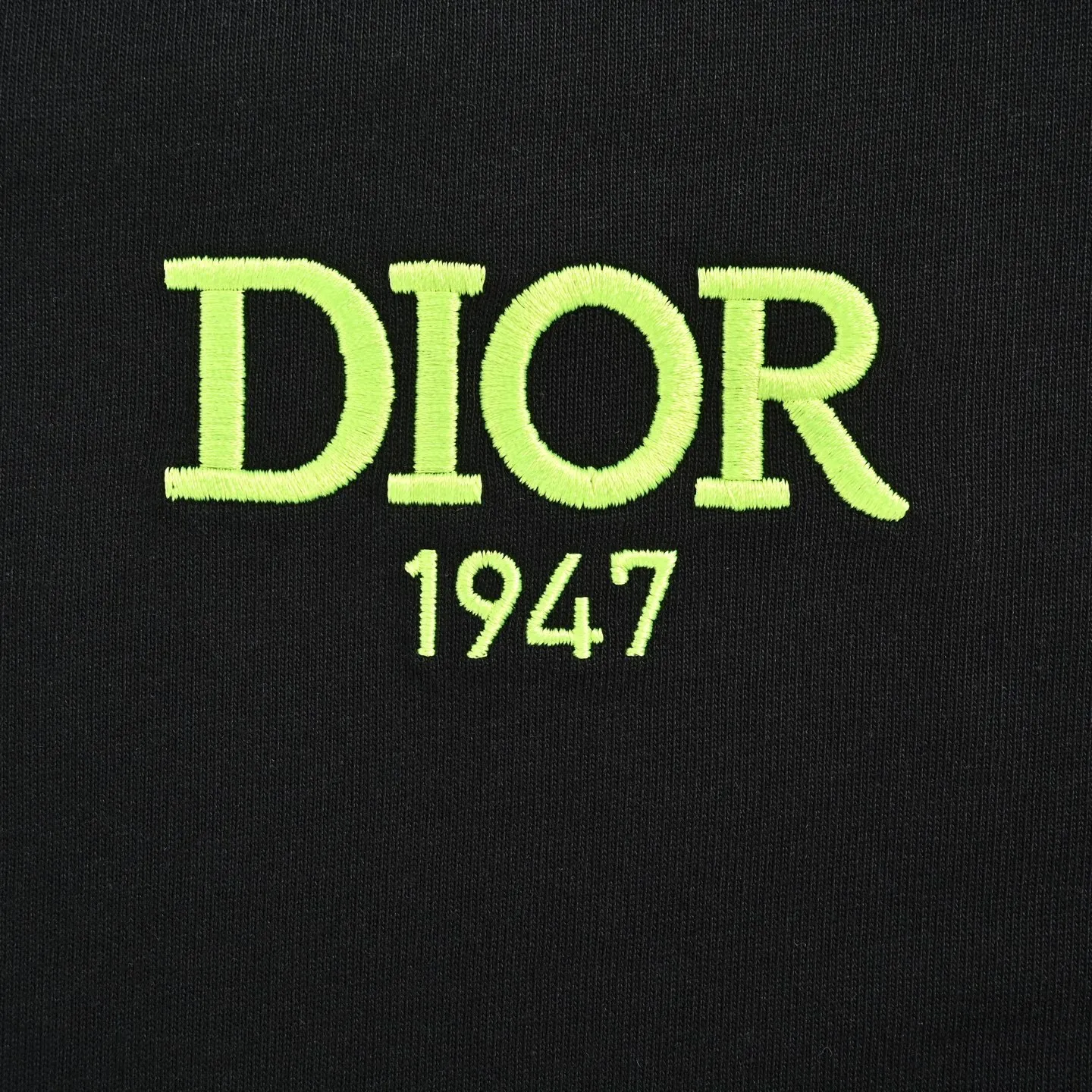 Dior/ 26ss logo