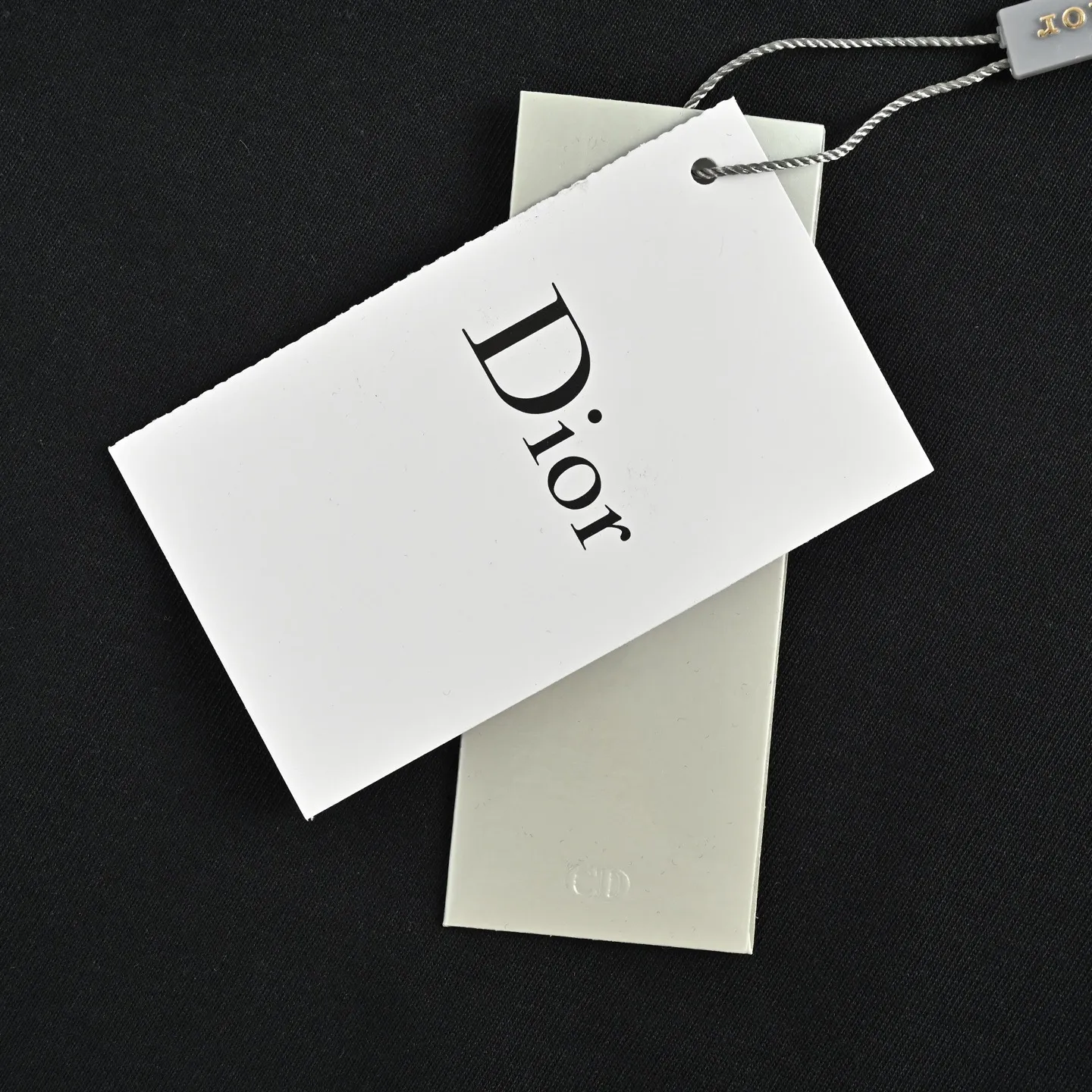 Dior/ 26ss logo