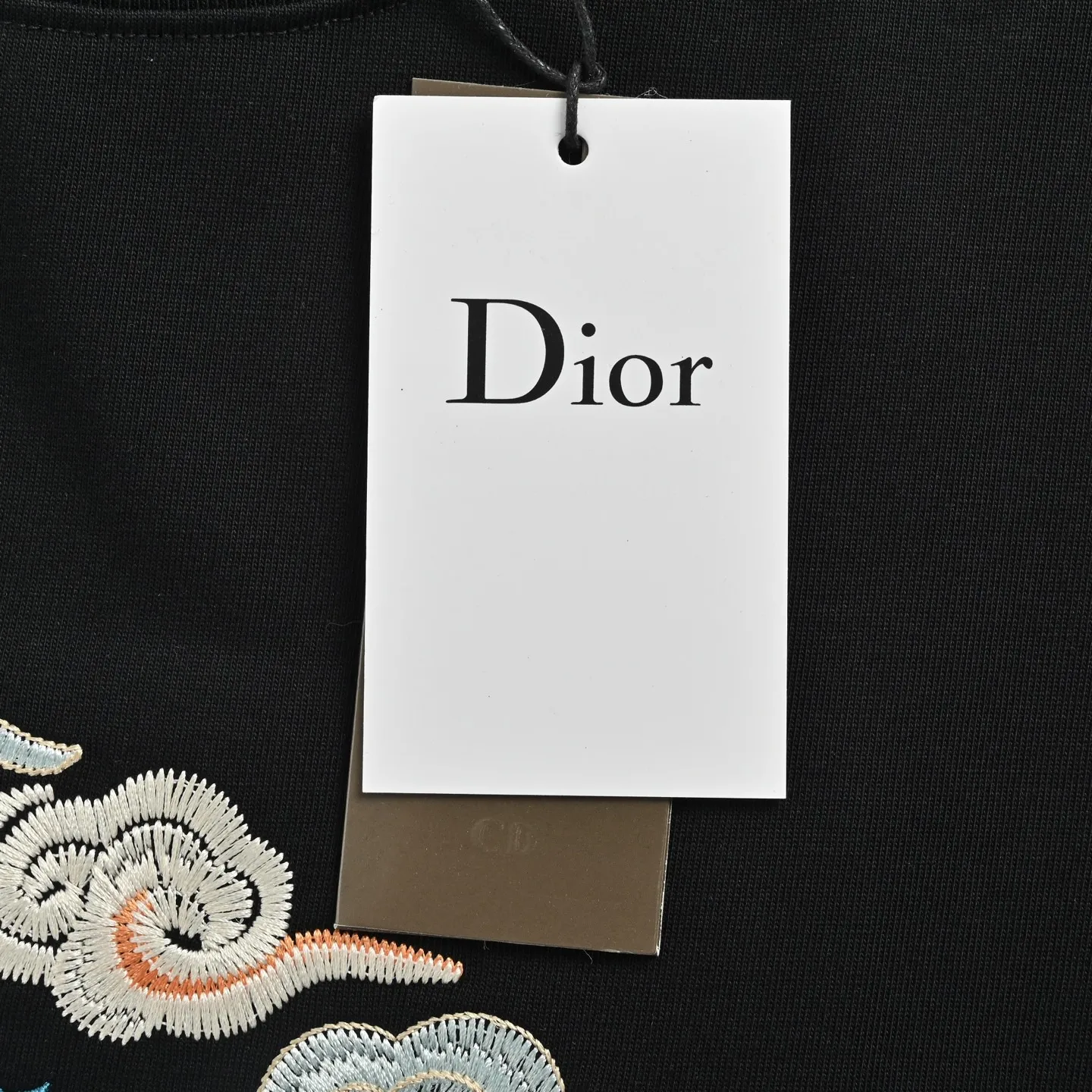 Dior/ 26ss