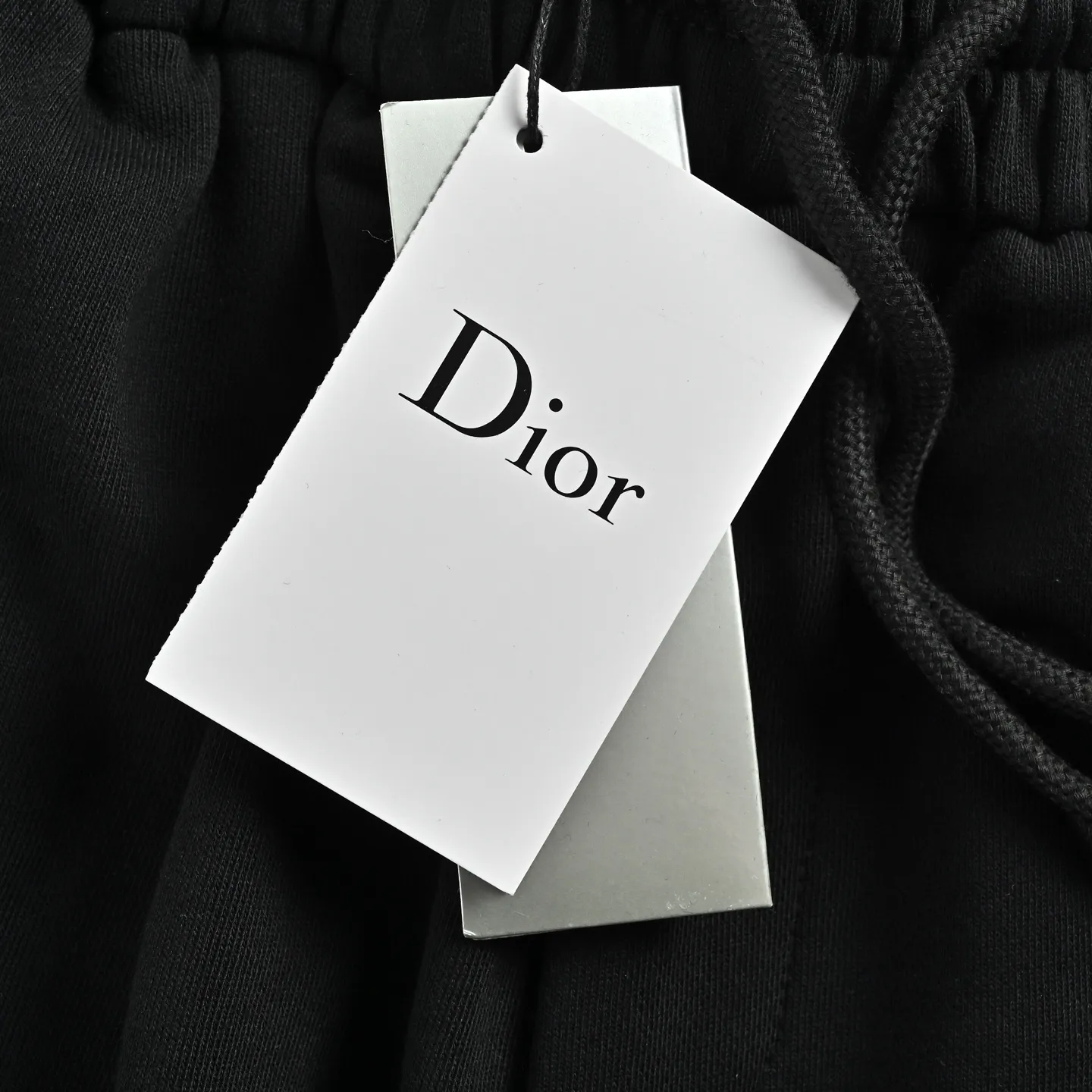 Dior/ 26ss logo