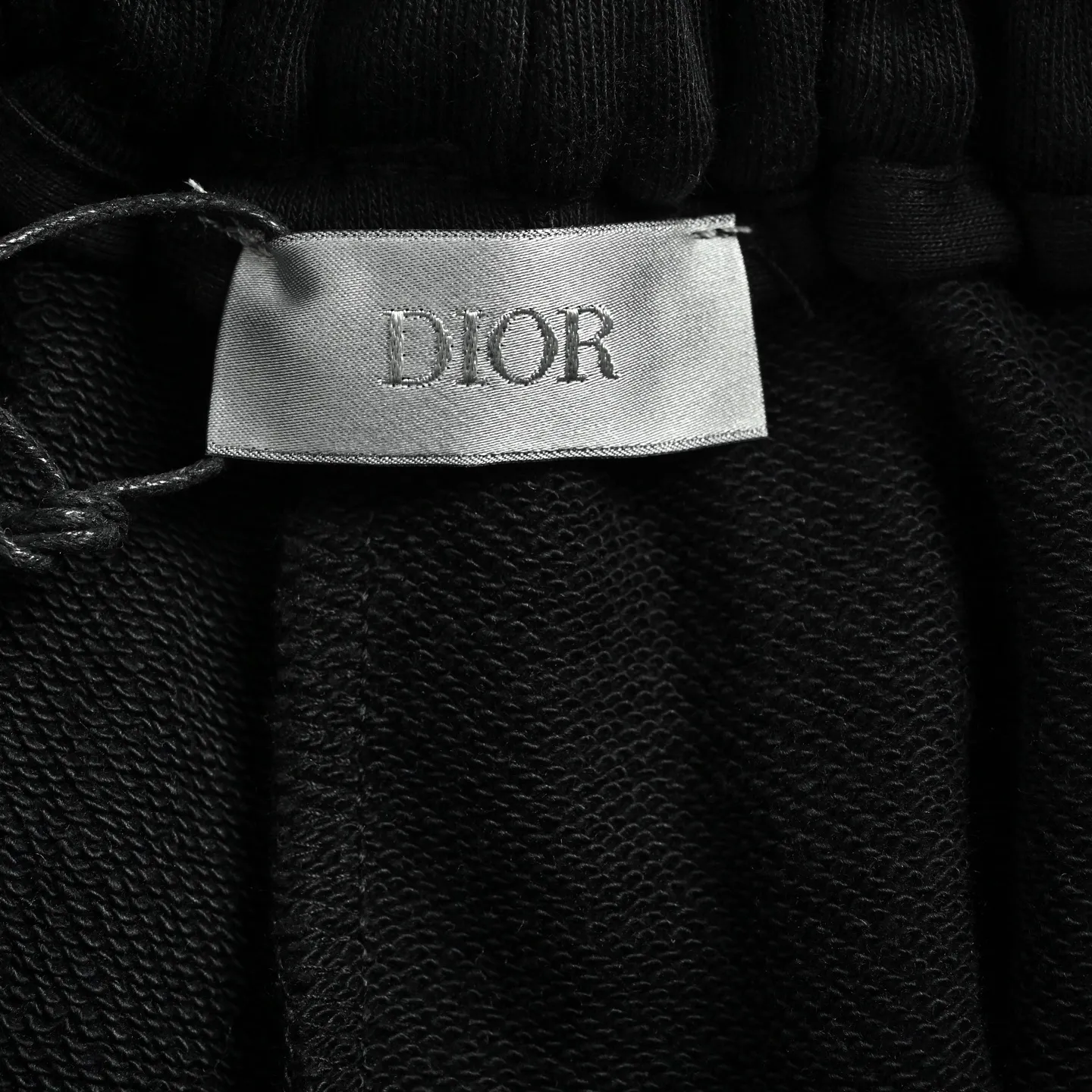Dior/ 26ss logo