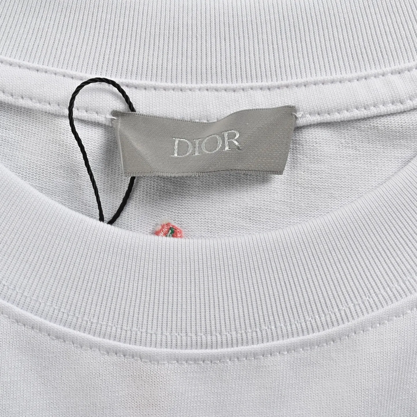 Dior/ 25ss Series