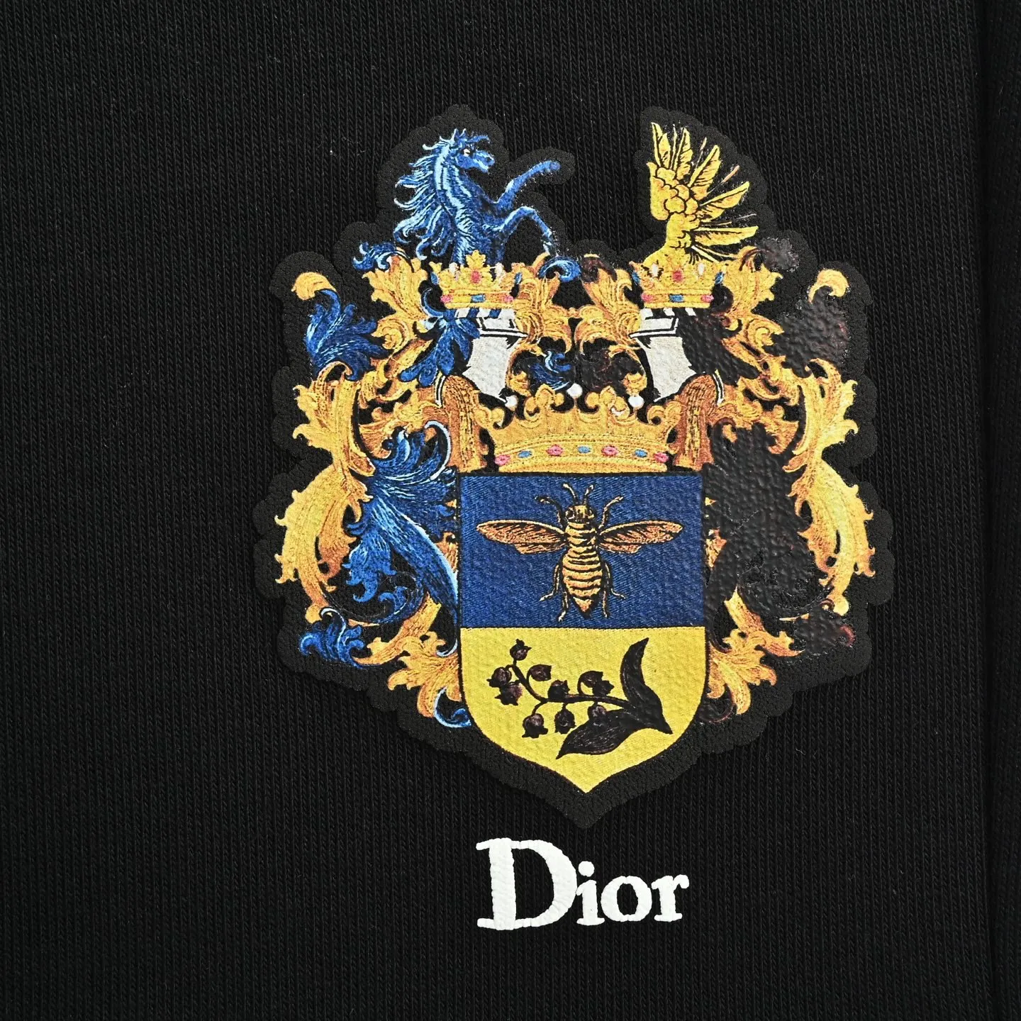 Dior/ 26ss logo