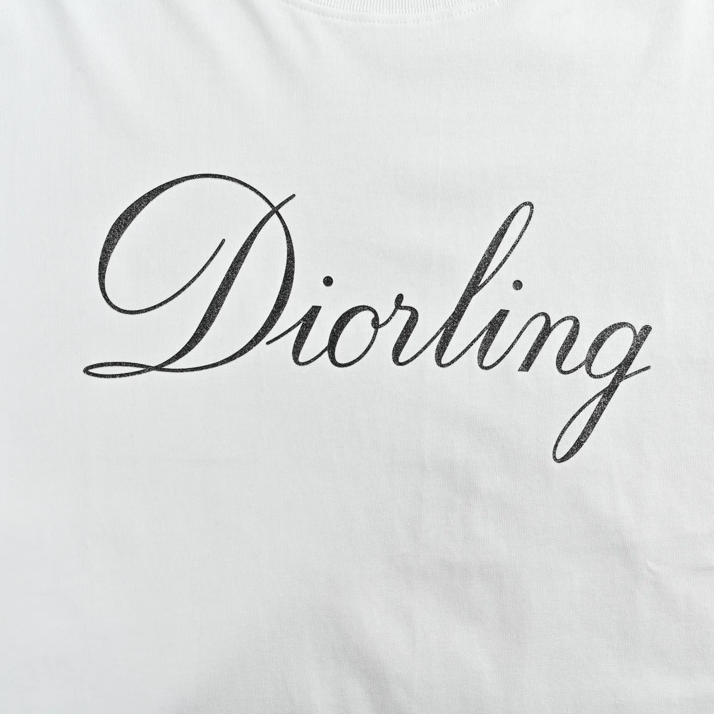 Dior/ 26ss