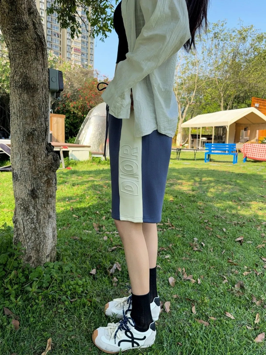 Dior/ logo