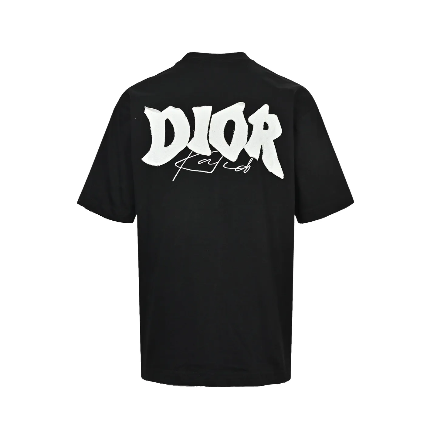 Dior/ 26ss logo