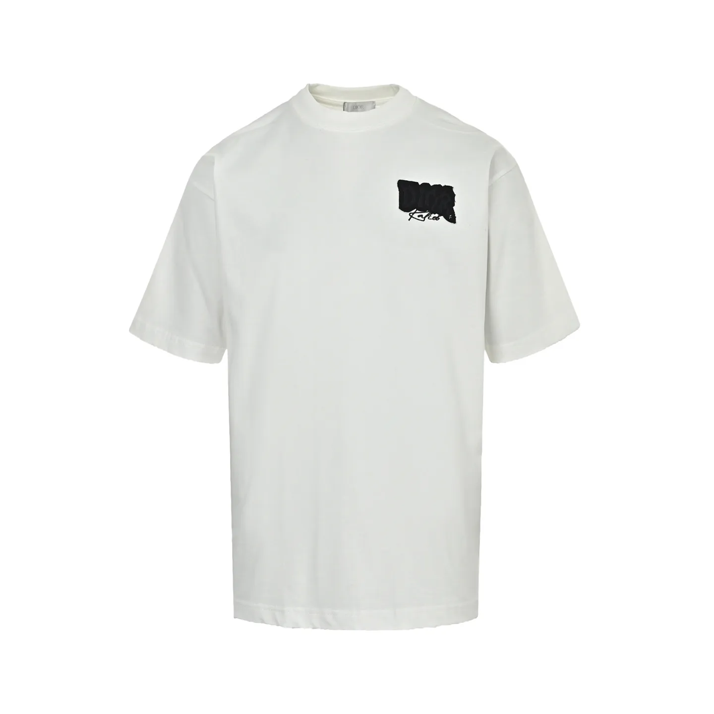Dior/ 26ss logo