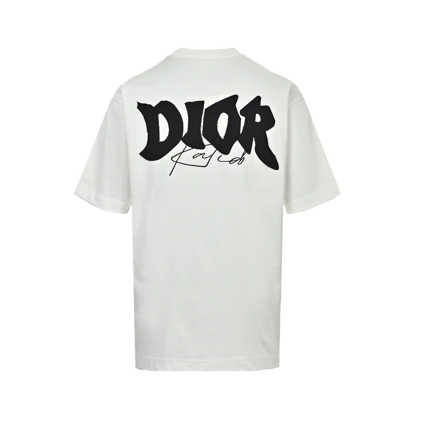 Dior/ 26ss logo