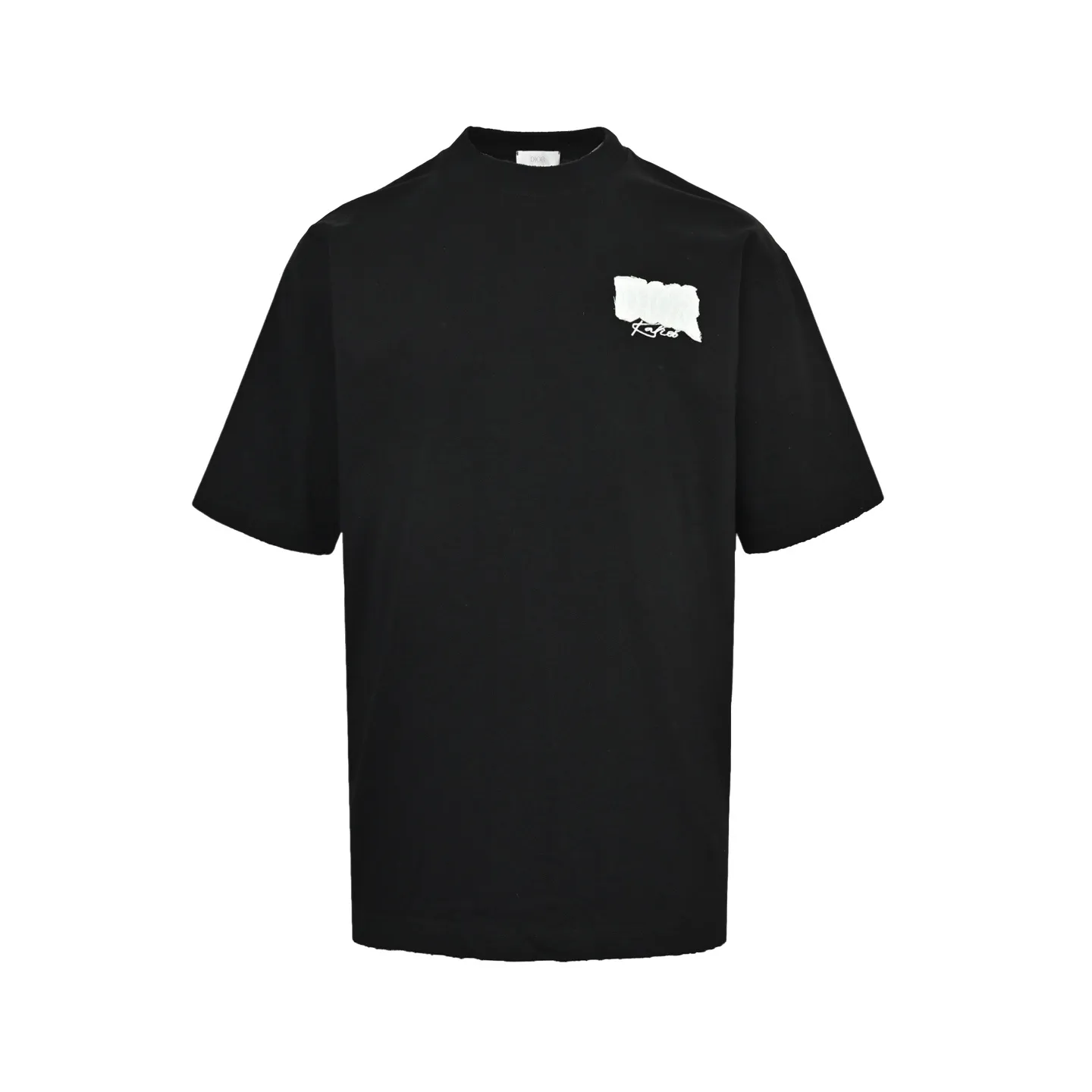 Dior/ 26ss logo