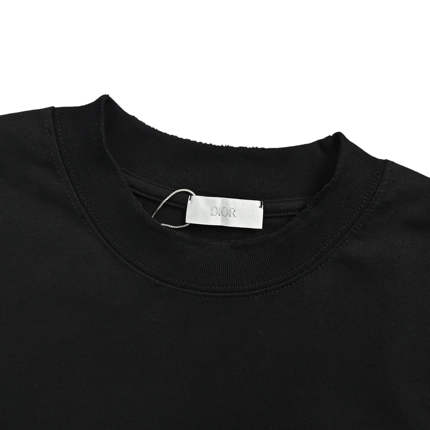 Dior/ 26ss logo