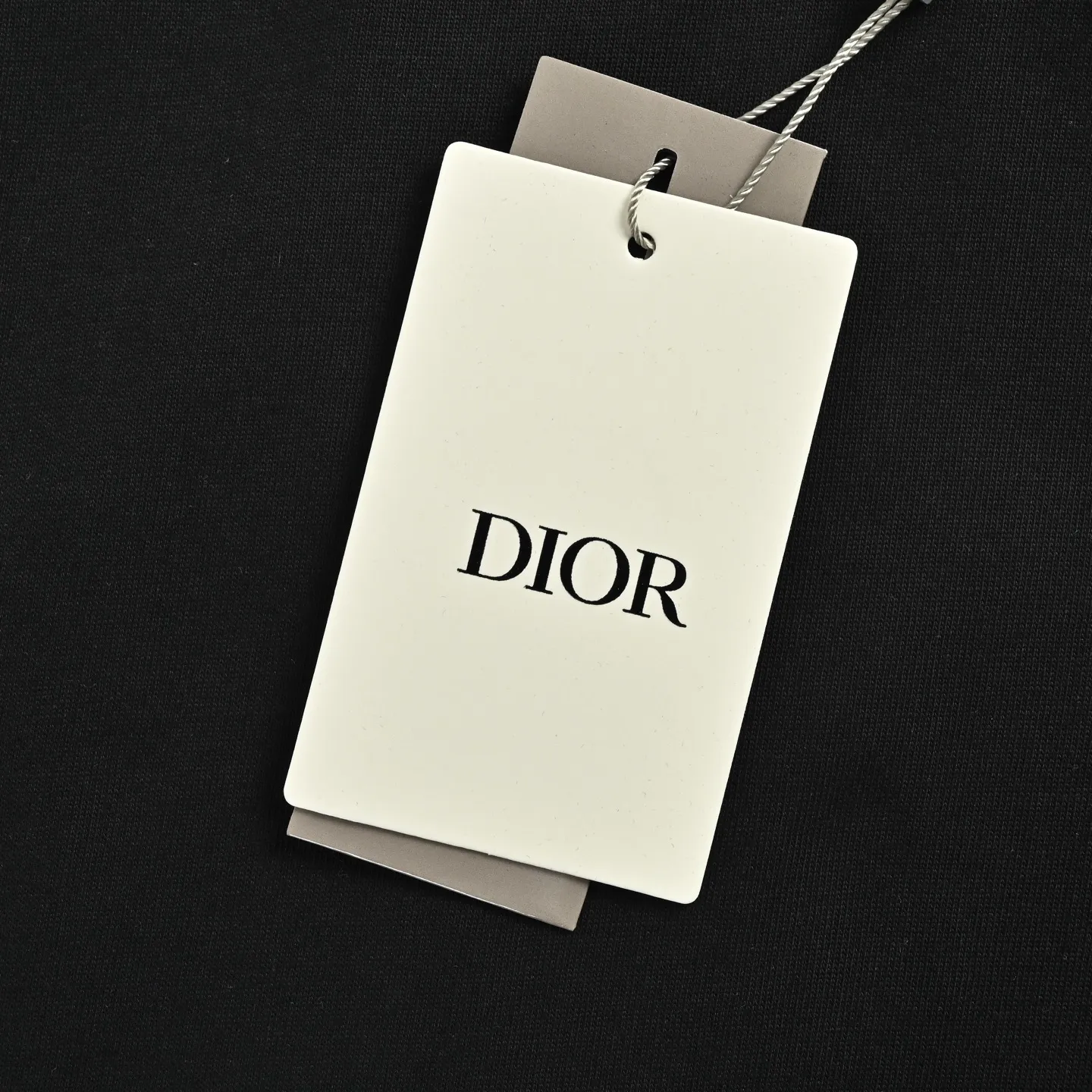 Dior/ 26ss logo