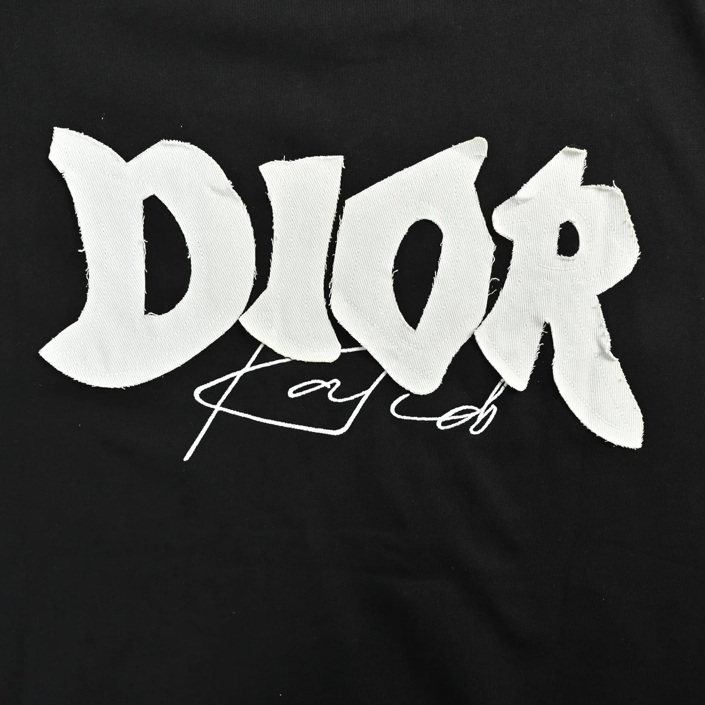 Dior/ 26ss logo
