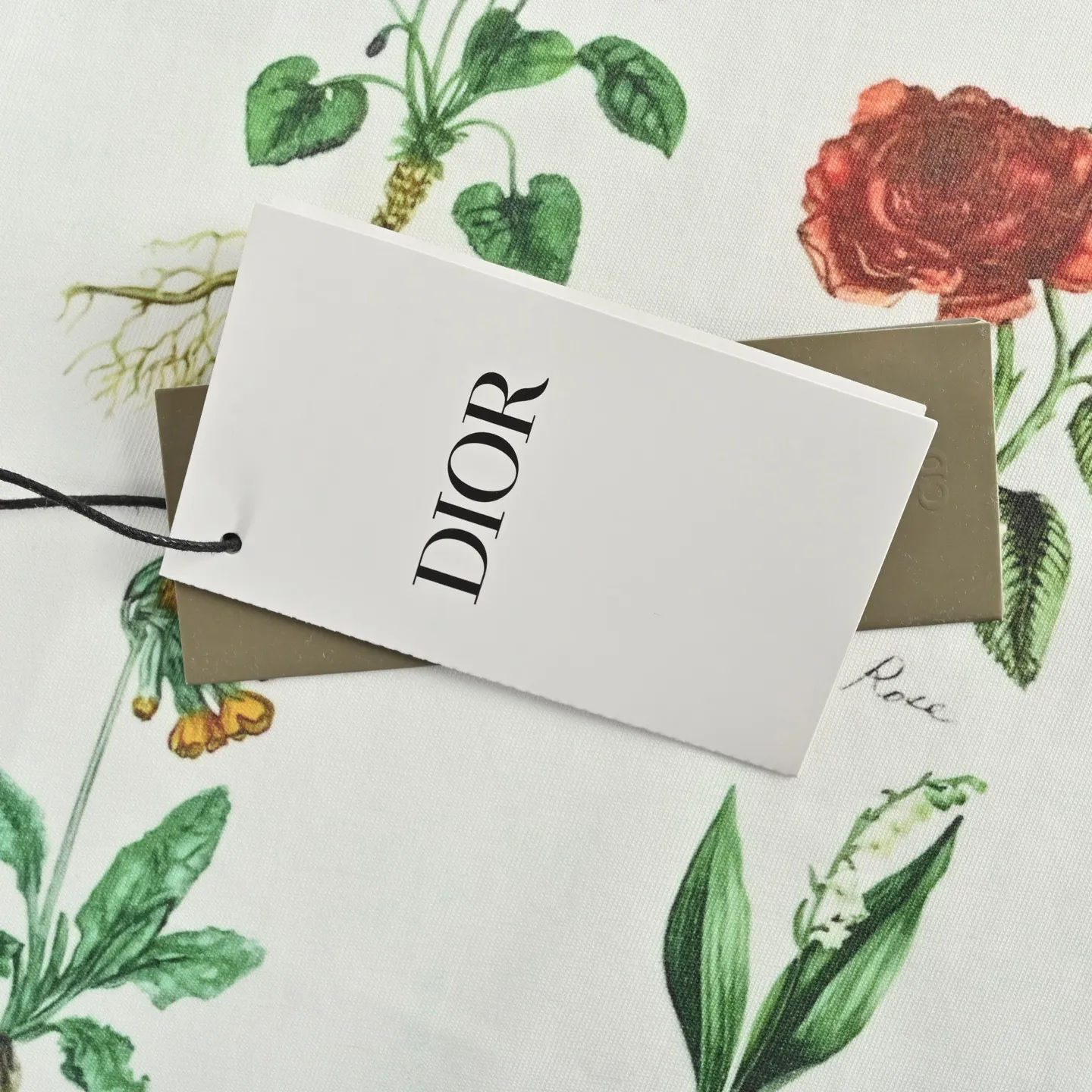 Dior/ 24ss