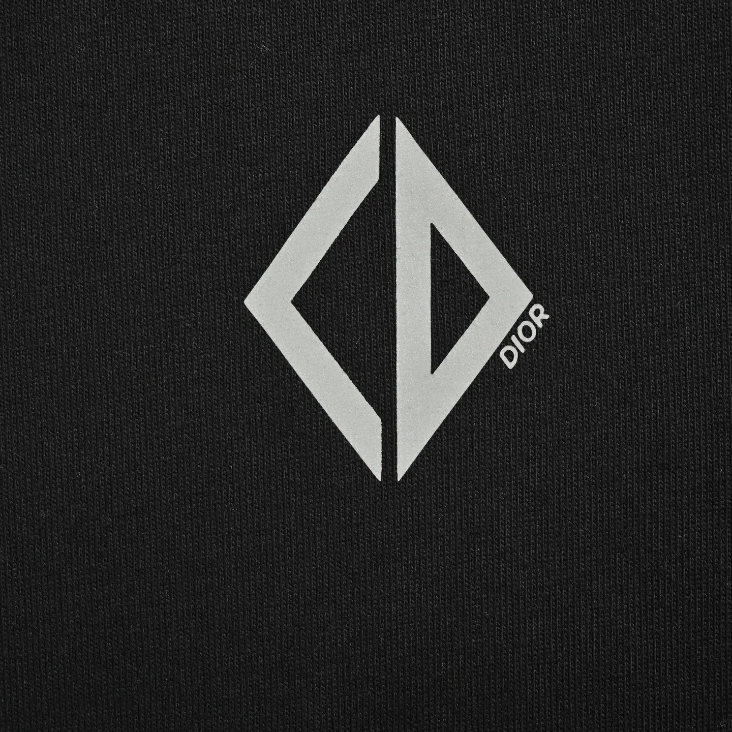 Dior/ 25ss logo