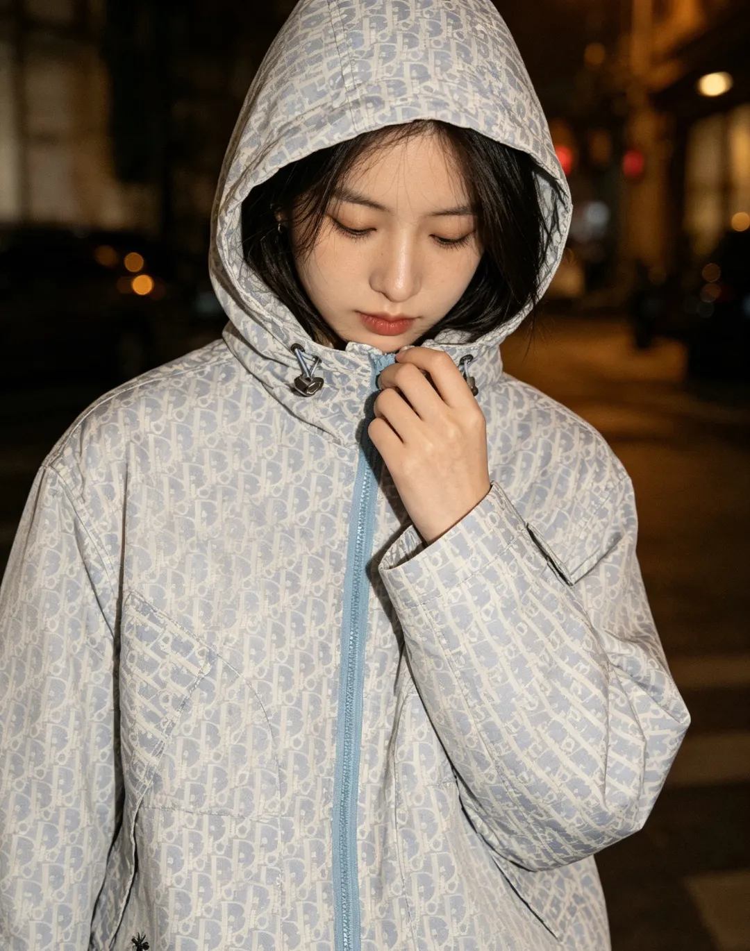 Dior/Dior Bee Full Print Logo Zip Jacket