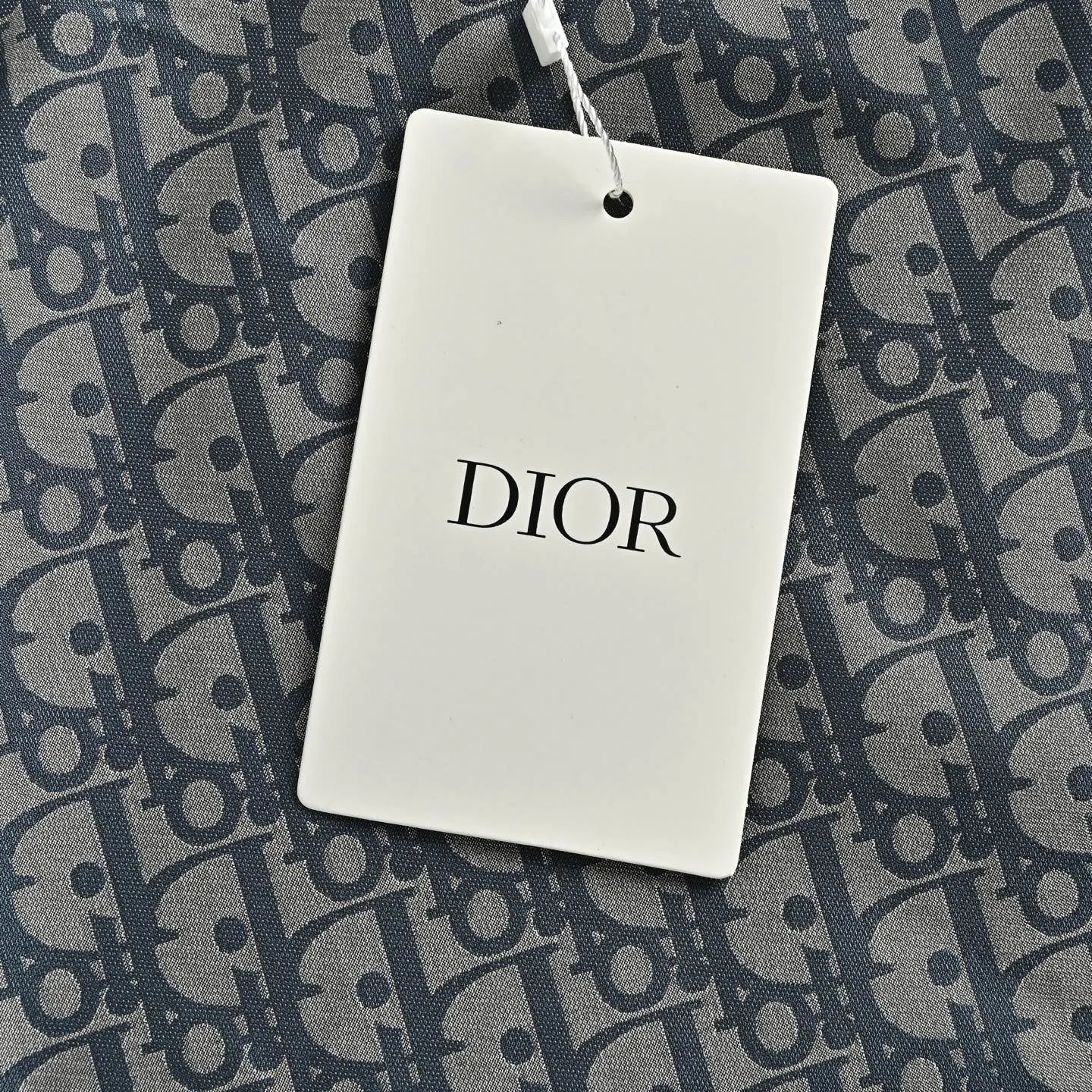 Dior/Dior Bee Full Print Logo Zip Jacket