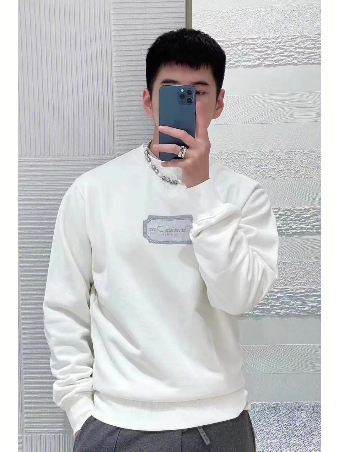 Dior/Dior 22Fw silver embroidered logo crewneck sweatshirt