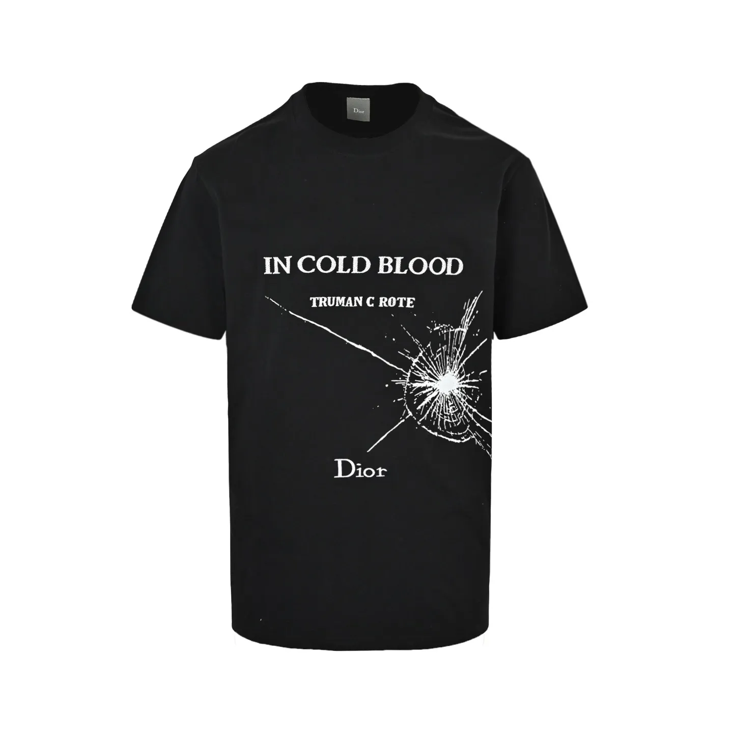 Dior/ 26ss logo