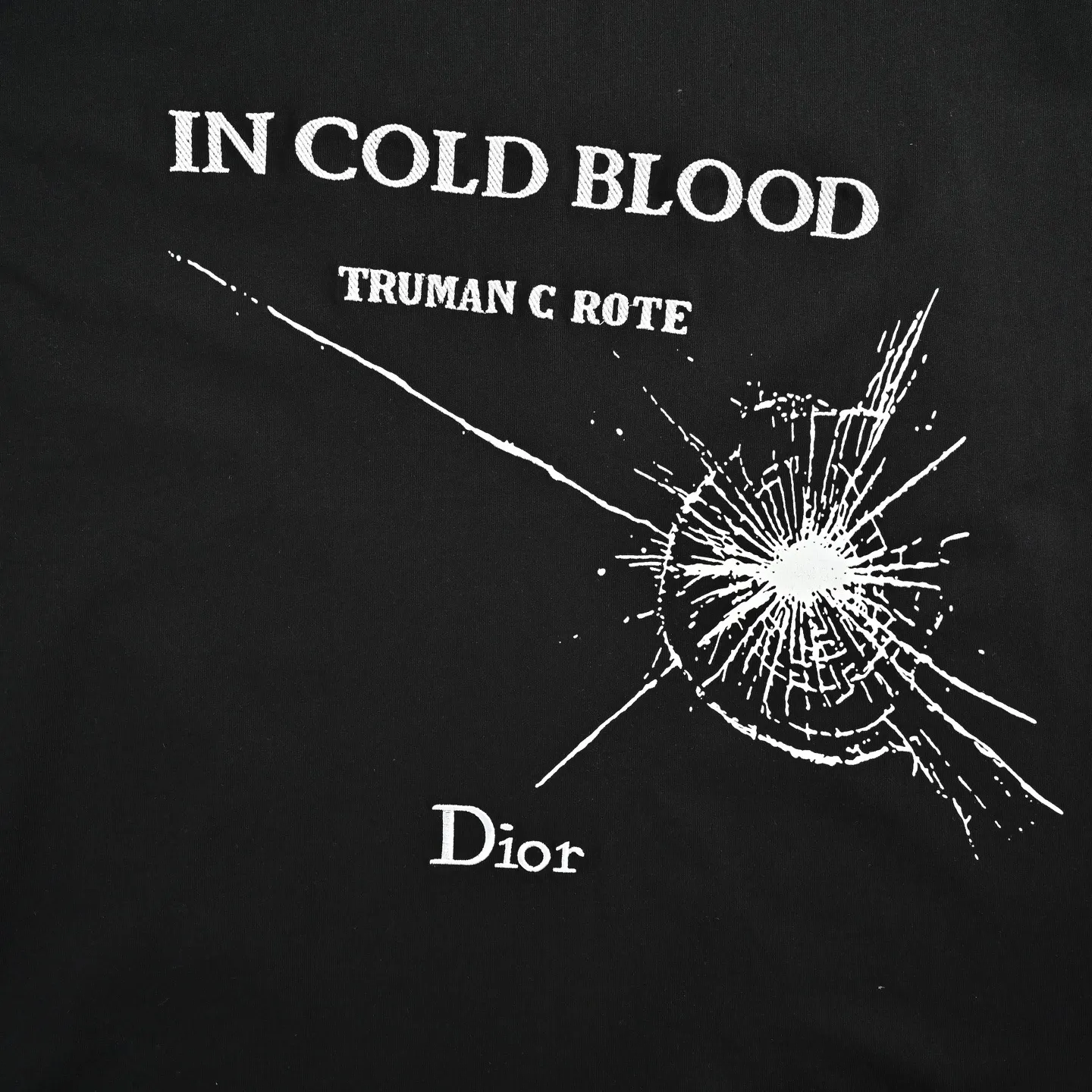 Dior/ 26ss logo