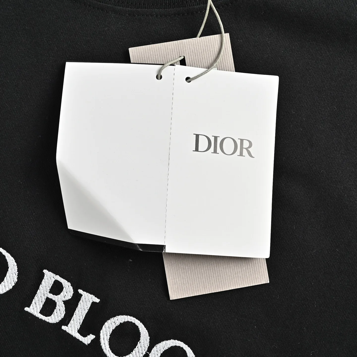 Dior/ 26ss logo