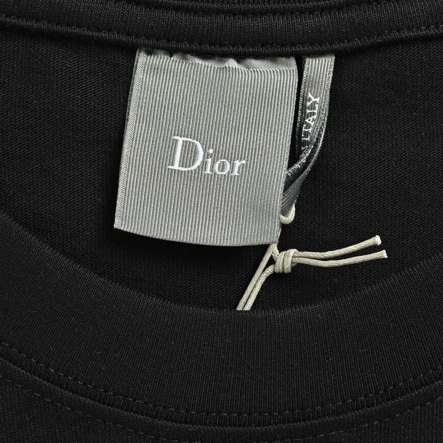 Dior/ 26ss logo