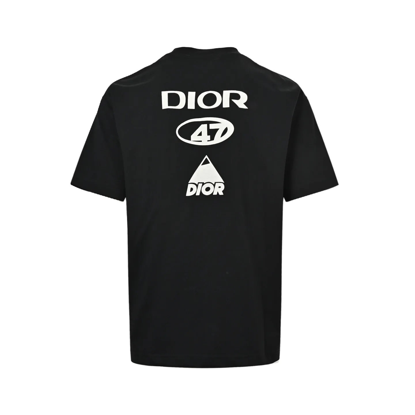 Dior/ 26ss logo