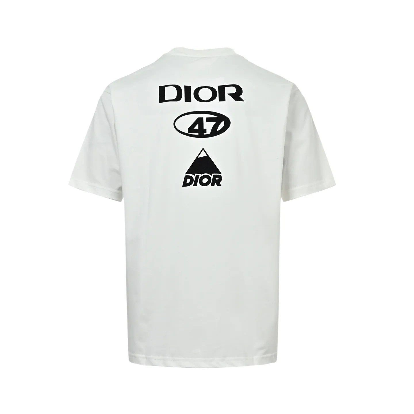 Dior/ 26ss logo