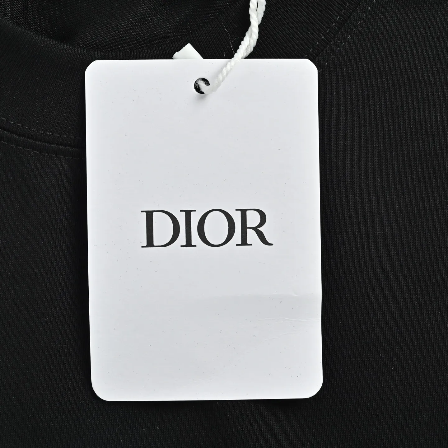Dior/ 26ss logo