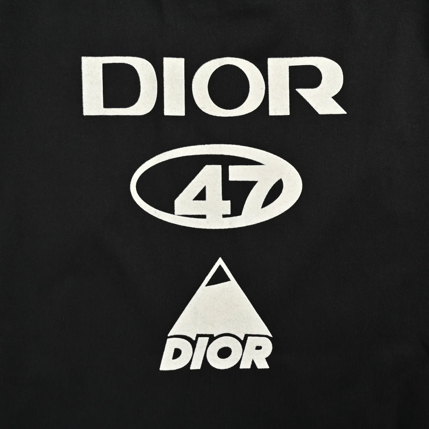 Dior/ 26ss logo