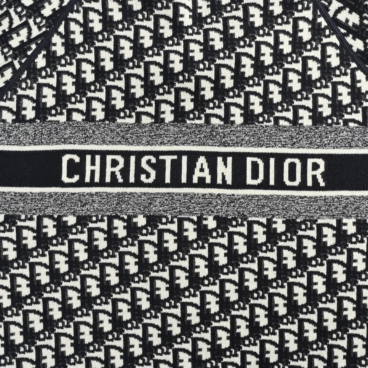 Dior/ 23Fw Oblique