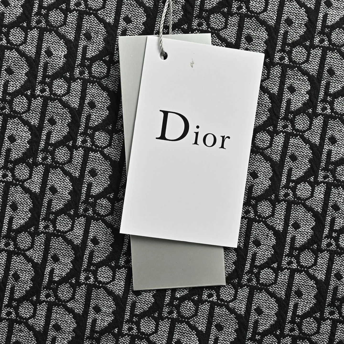 Dior/ 26ss