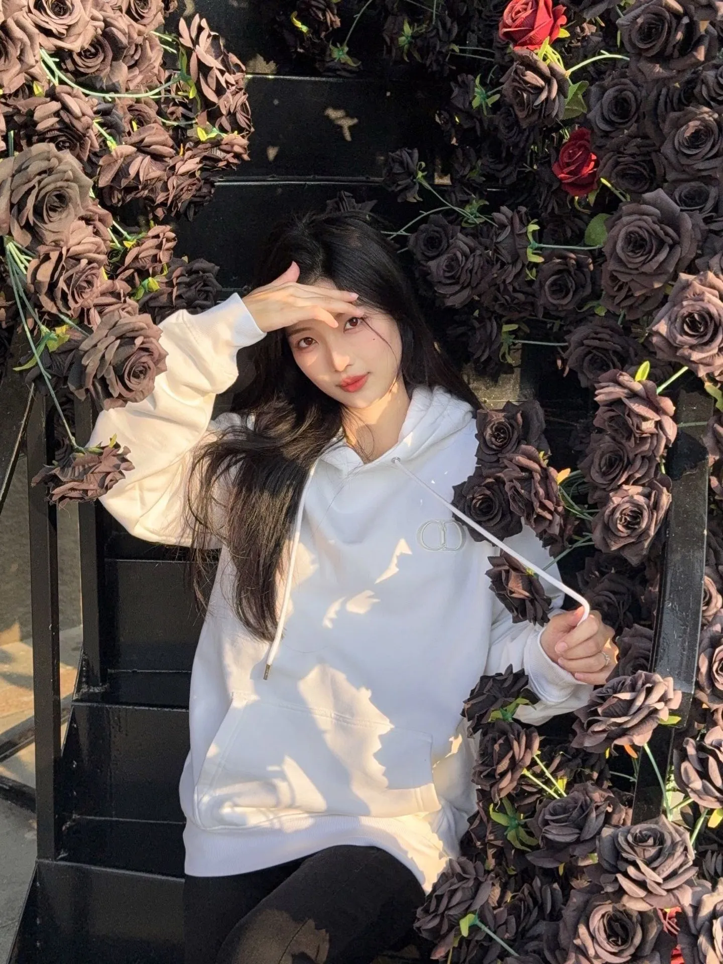Dior Classic Embroidered CD Hooded Sweatshirt