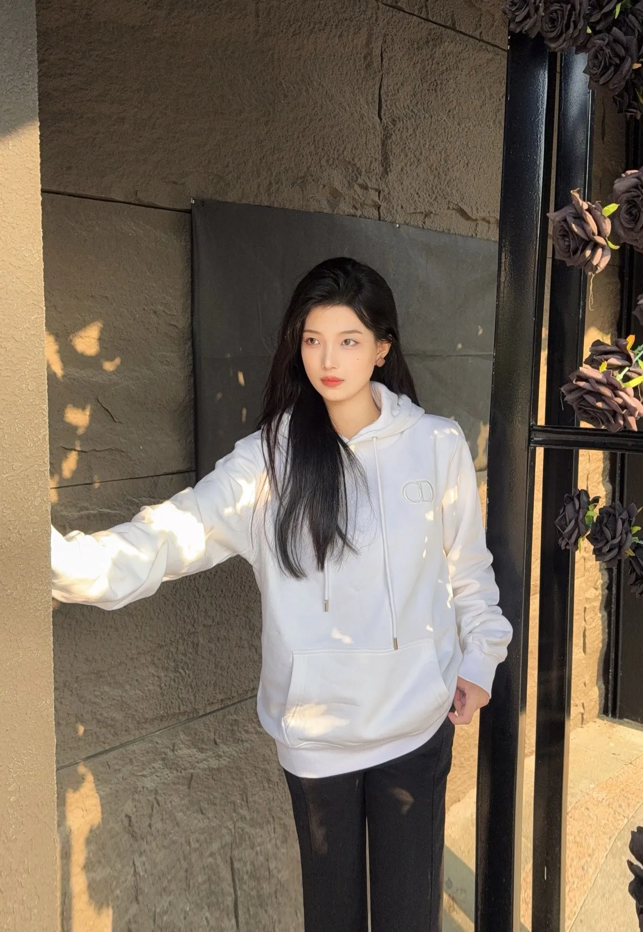 Dior Classic Embroidered CD Hooded Sweatshirt