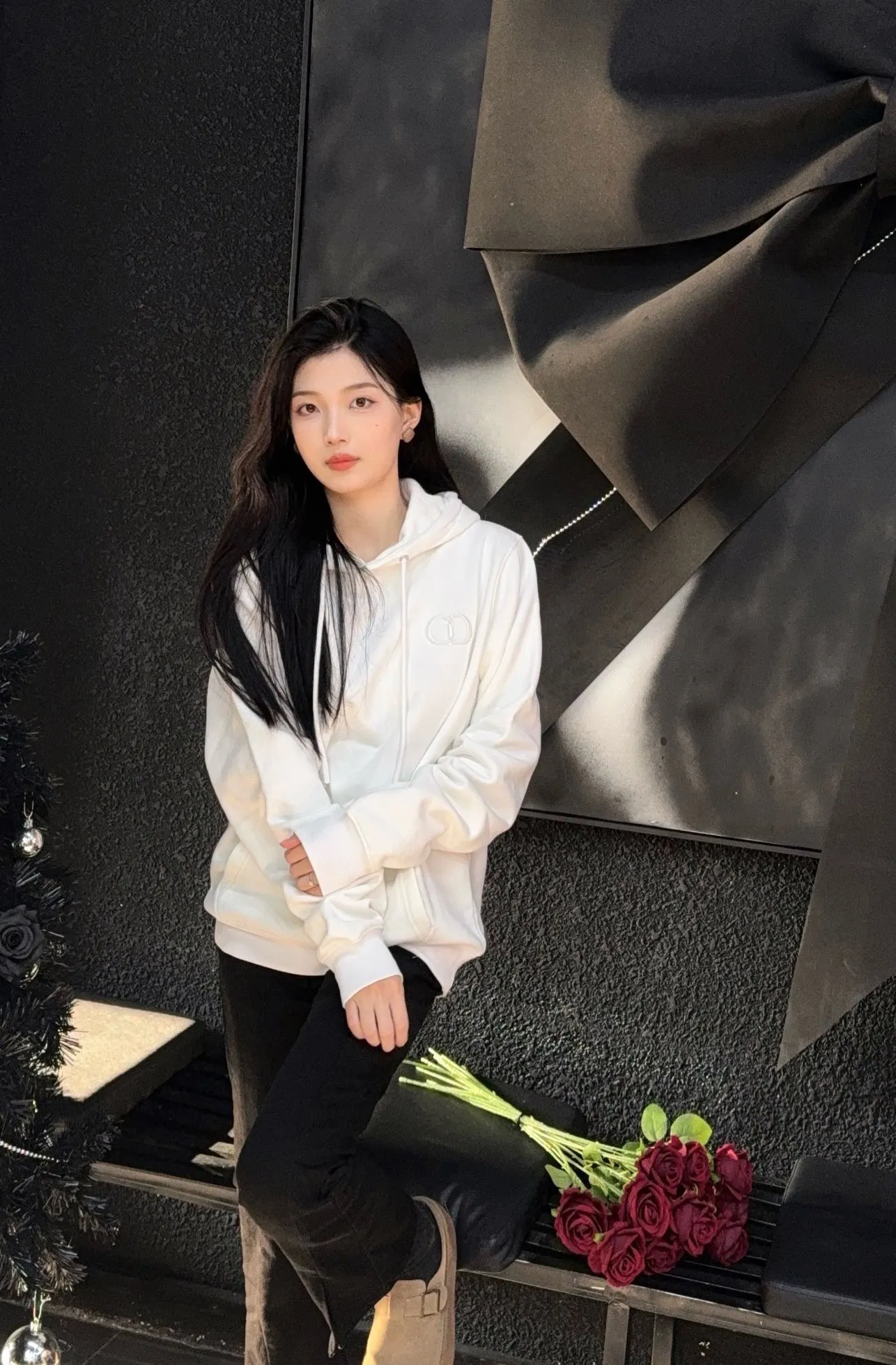 Dior Classic Embroidered CD Hooded Sweatshirt