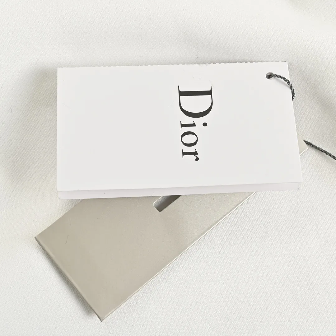 Dior Classic Embroidered CD Hooded Sweatshirt