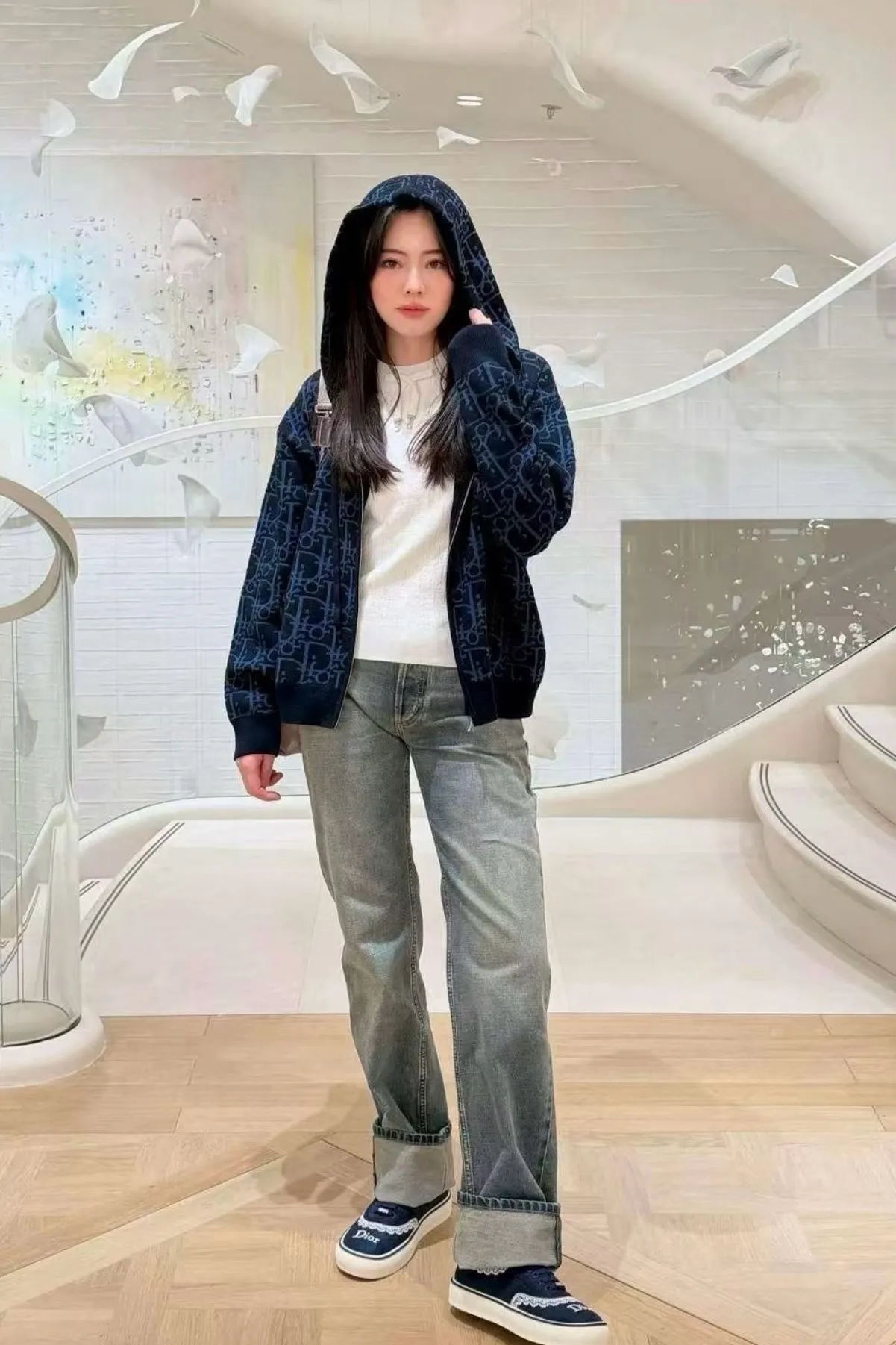 Dior/Dior zipped hooded jacket in jacquard jacquard