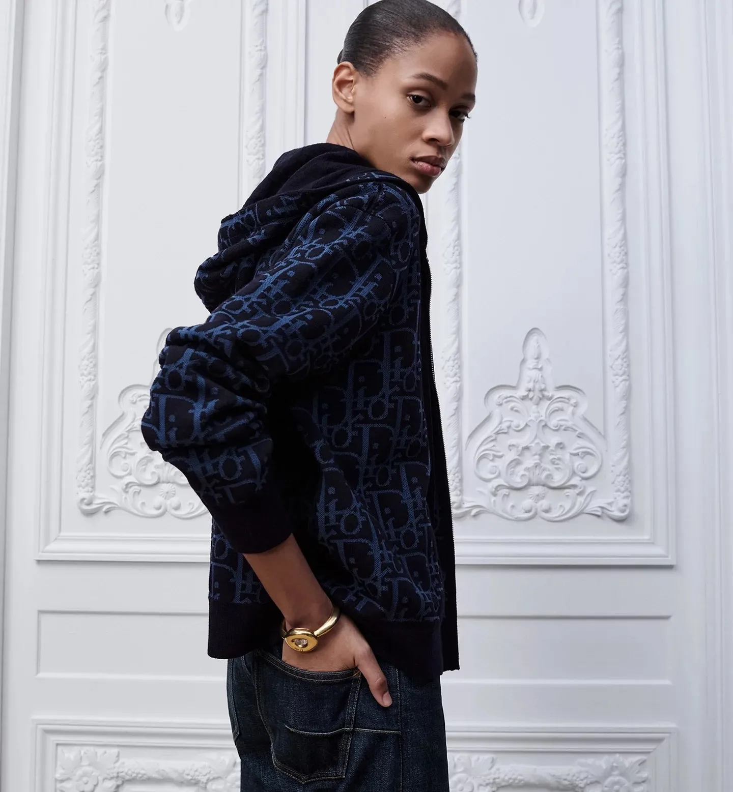 Dior/Dior zipped hooded jacket in jacquard jacquard