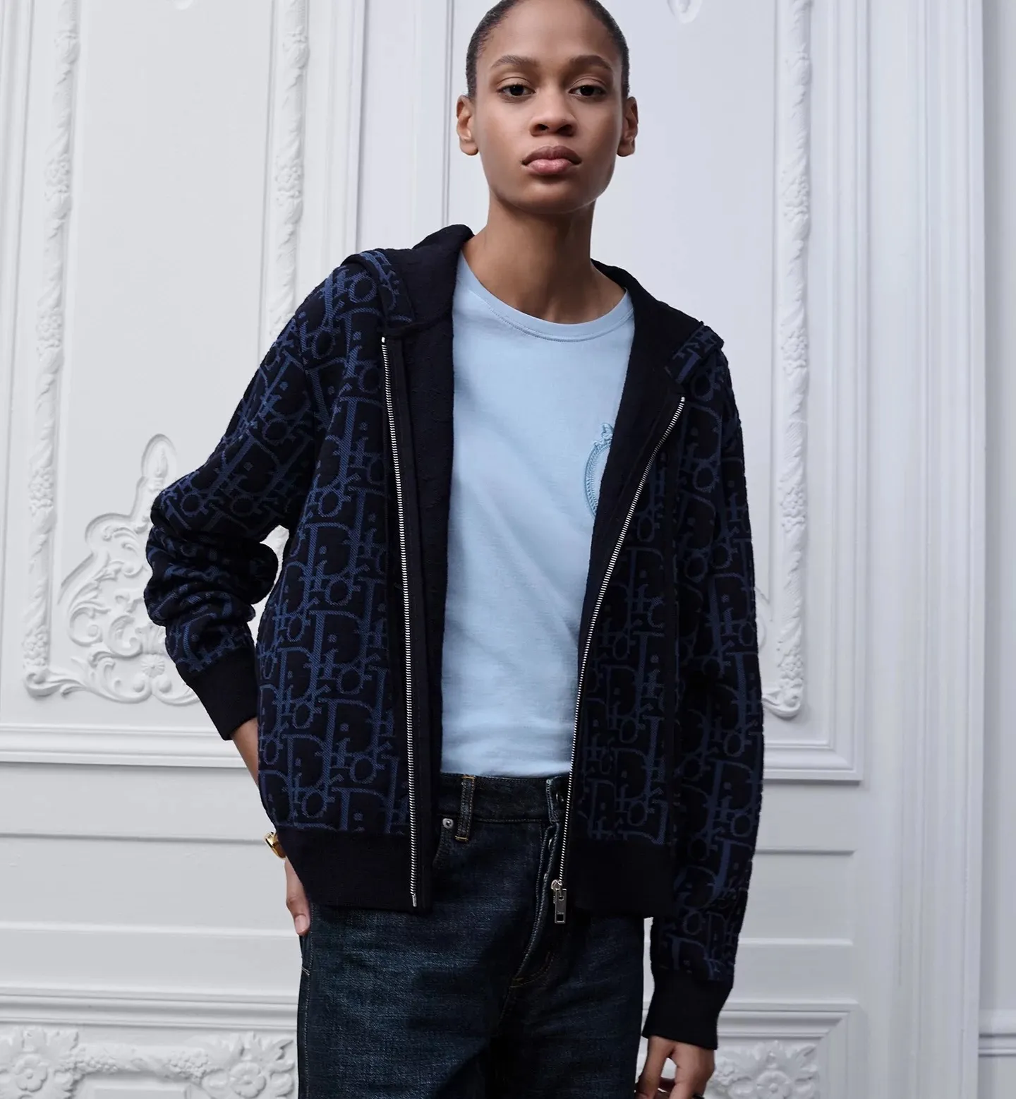 Dior/Dior zipped hooded jacket in jacquard jacquard