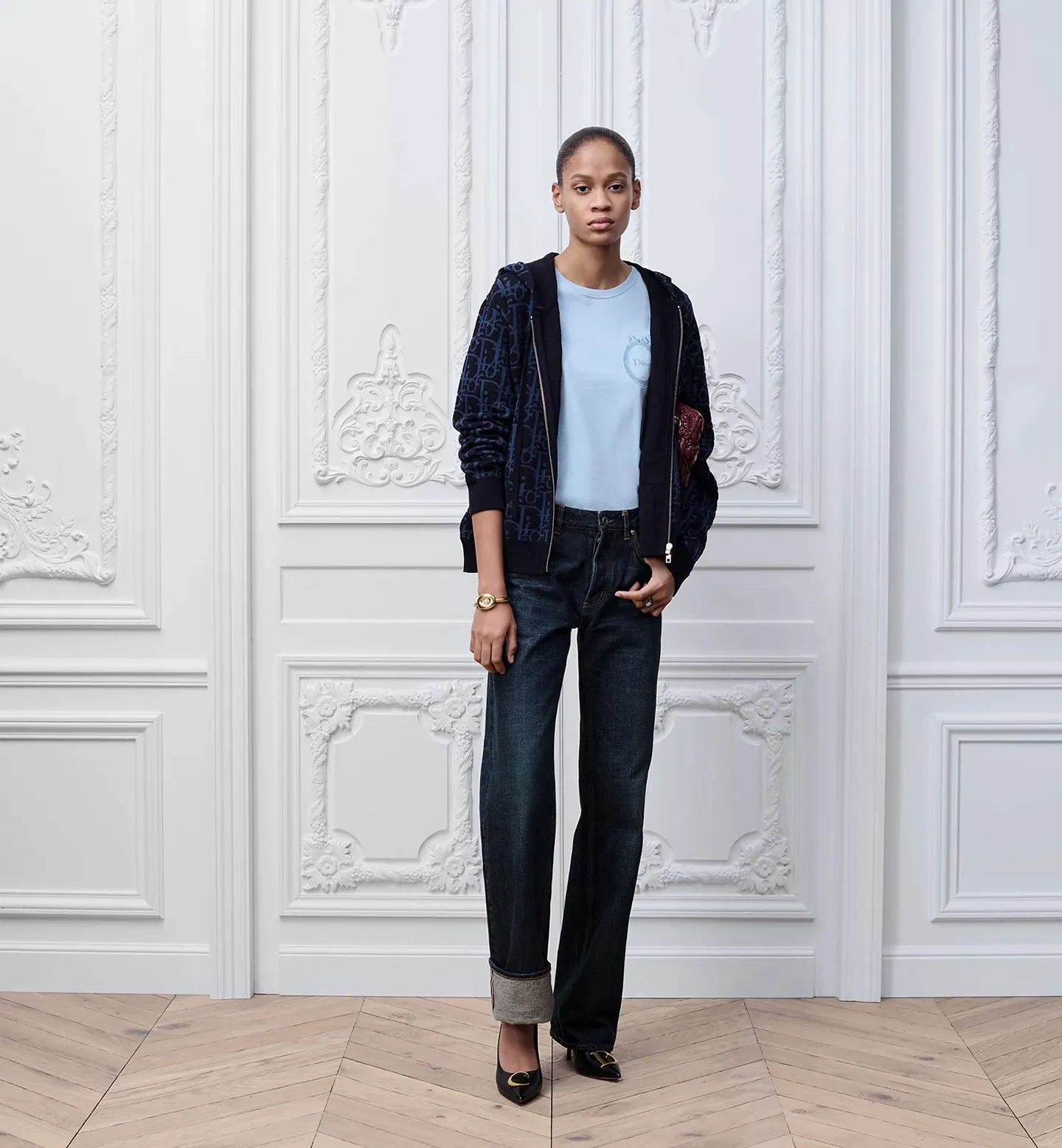 Dior/Dior zipped hooded jacket in jacquard jacquard