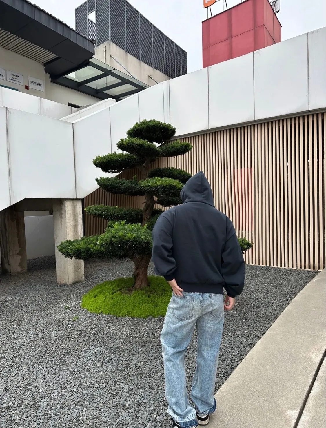 Dior/ 25Fw logo