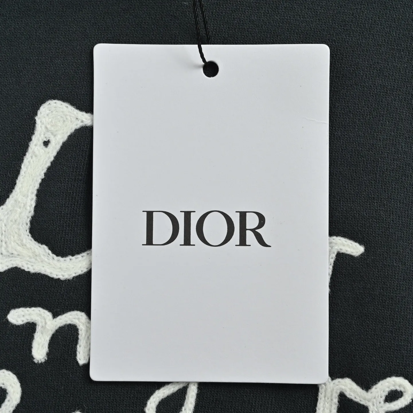 Dior/ 25Fw logo