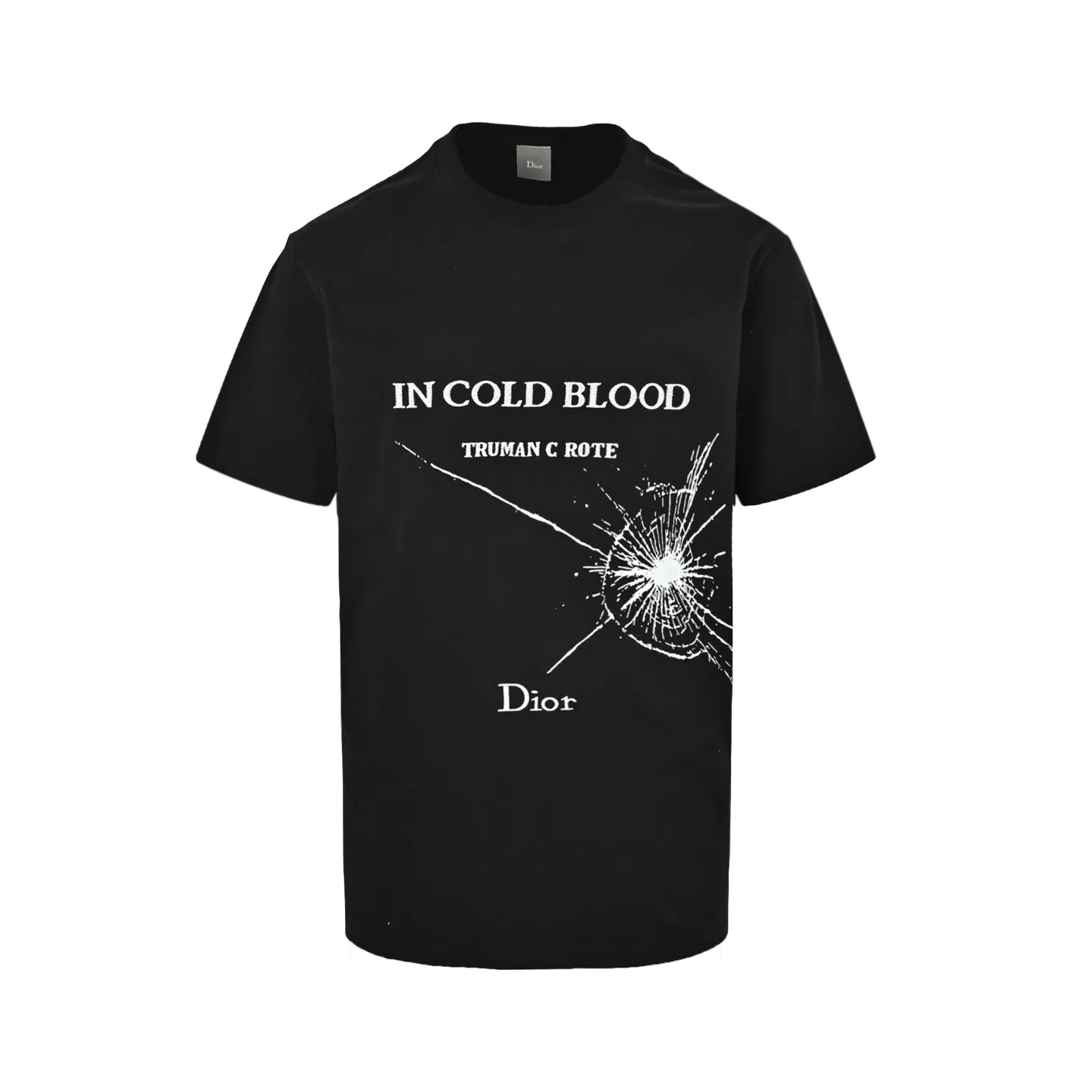 Dior/ 26ss logo