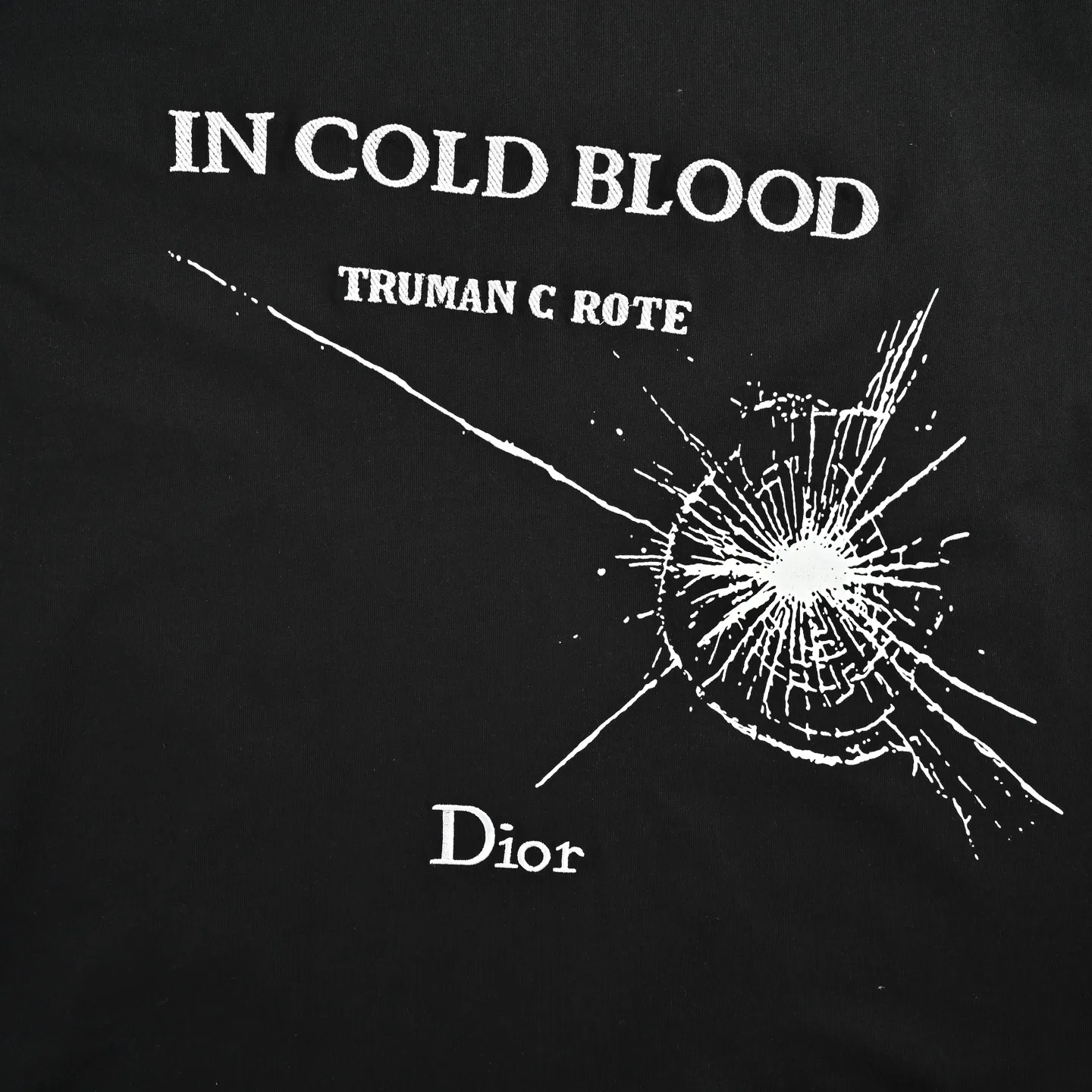 Dior/ 26ss logo