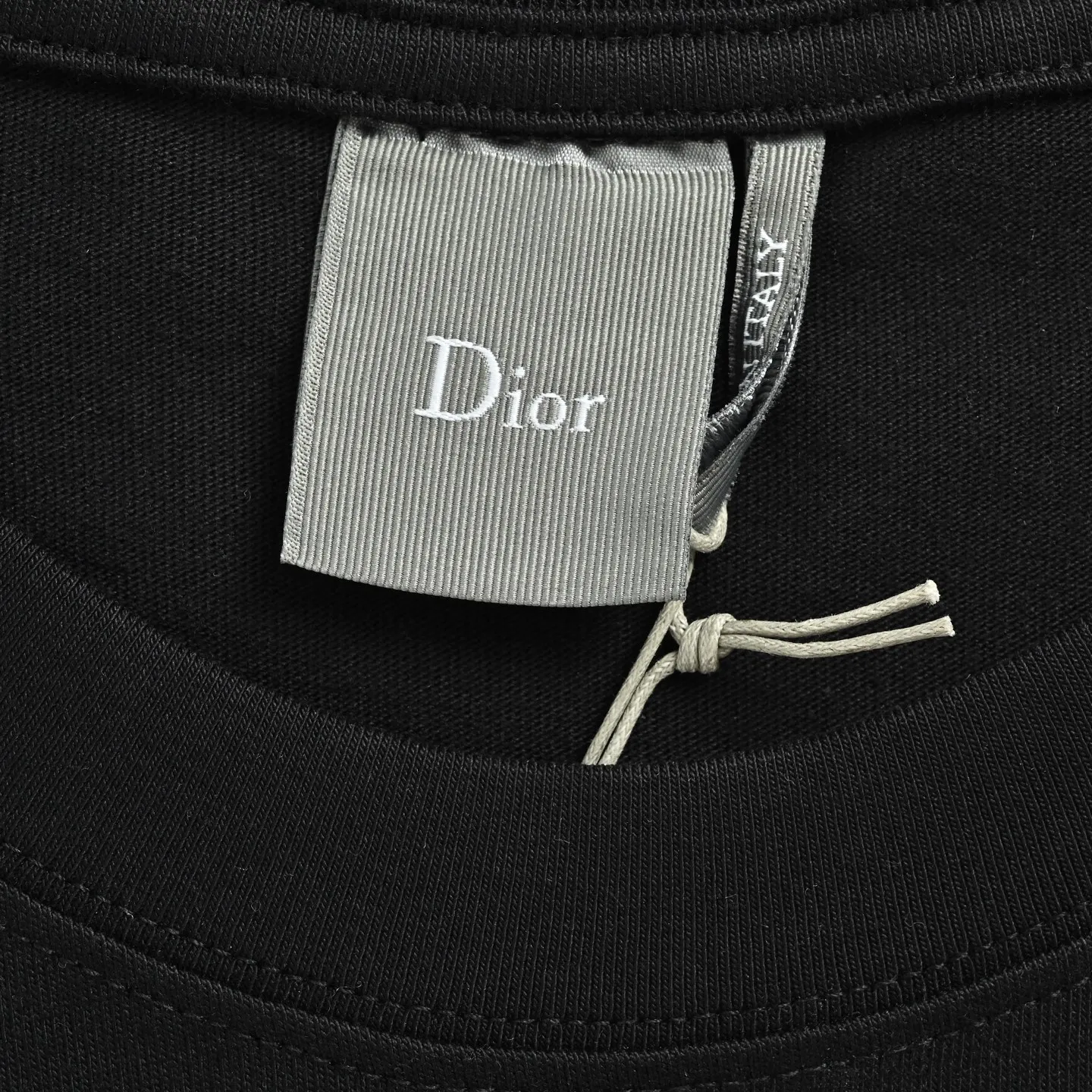 Dior/ 26ss logo