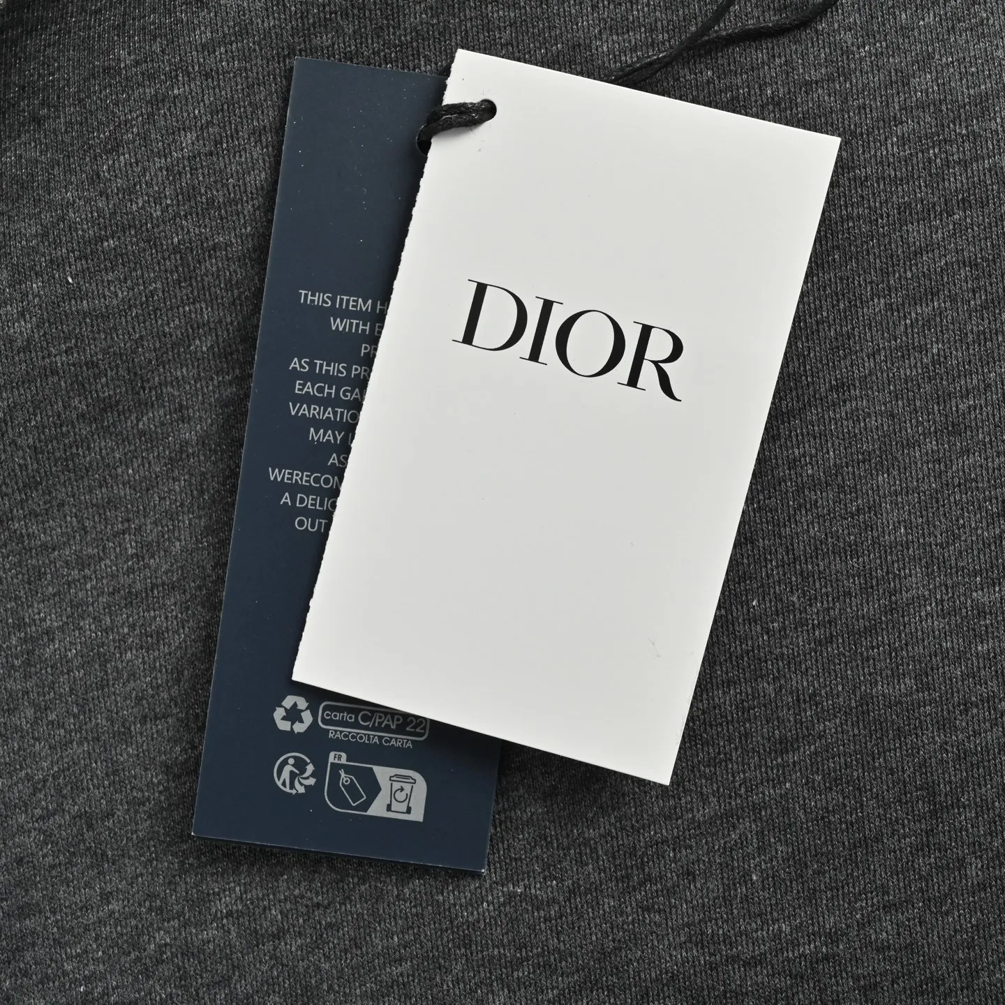 Dior/ ICON
