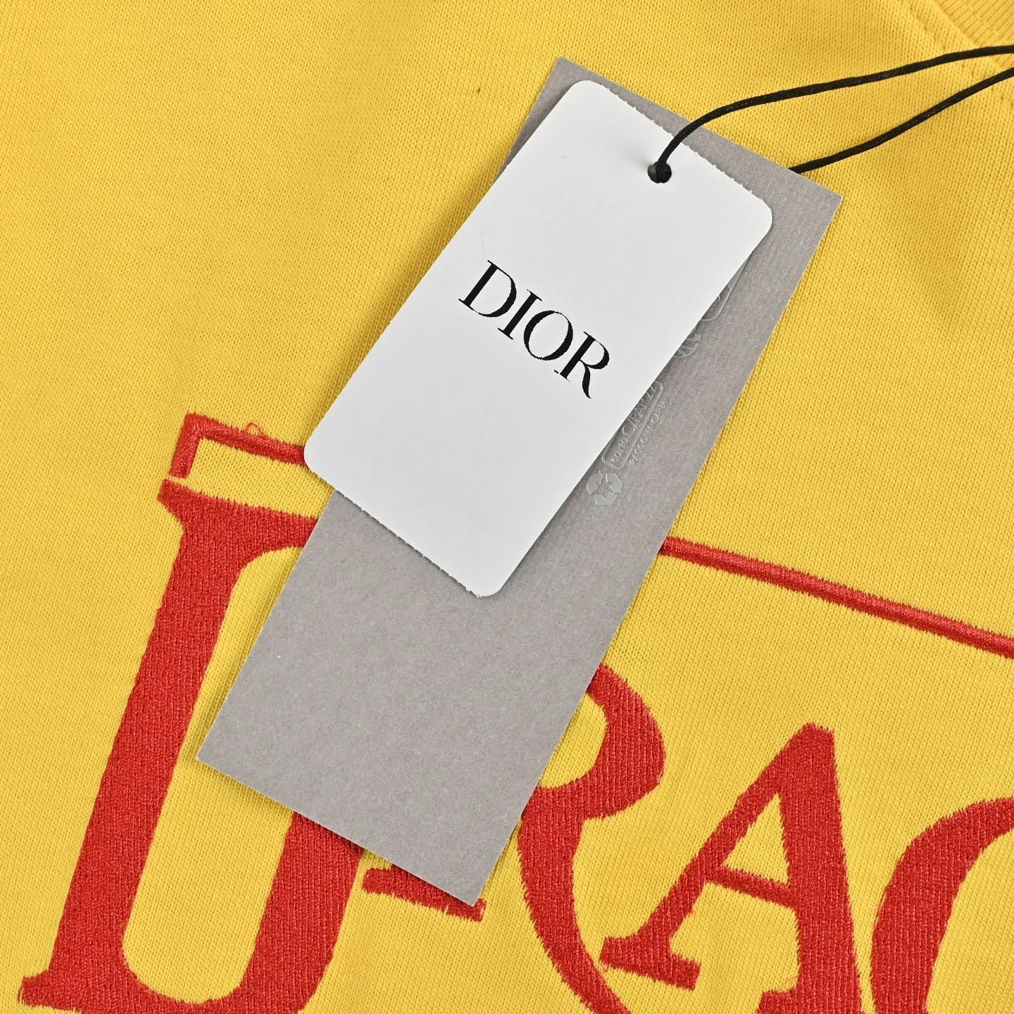 Dior/ 26ss