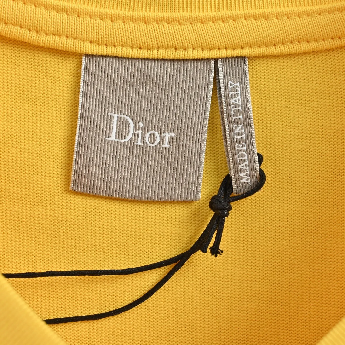 Dior/ 26ss