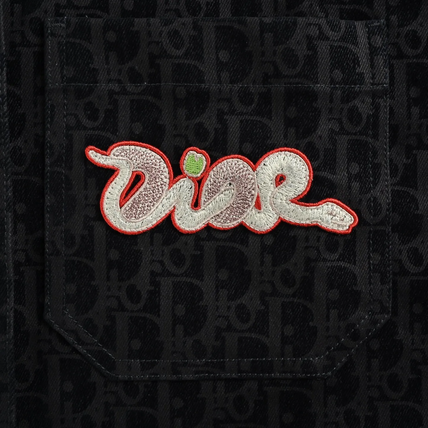 Dior/ 25ss